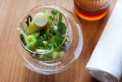 DSC_0406-als-slim-object1