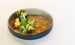 DSC_0354-als-slim-object1