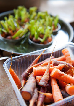 DSC_0422-als-slim-object1