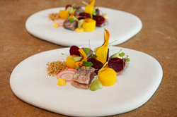 DSC_0460-als-slim-object1